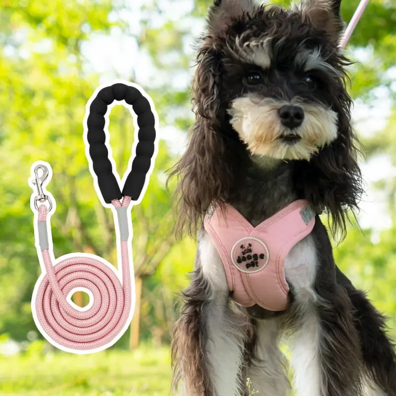 dog-leash-pink-830-851-1