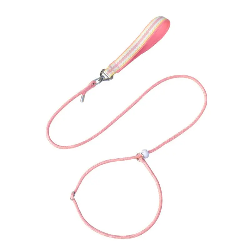 dog-leash-pink-830-904-1