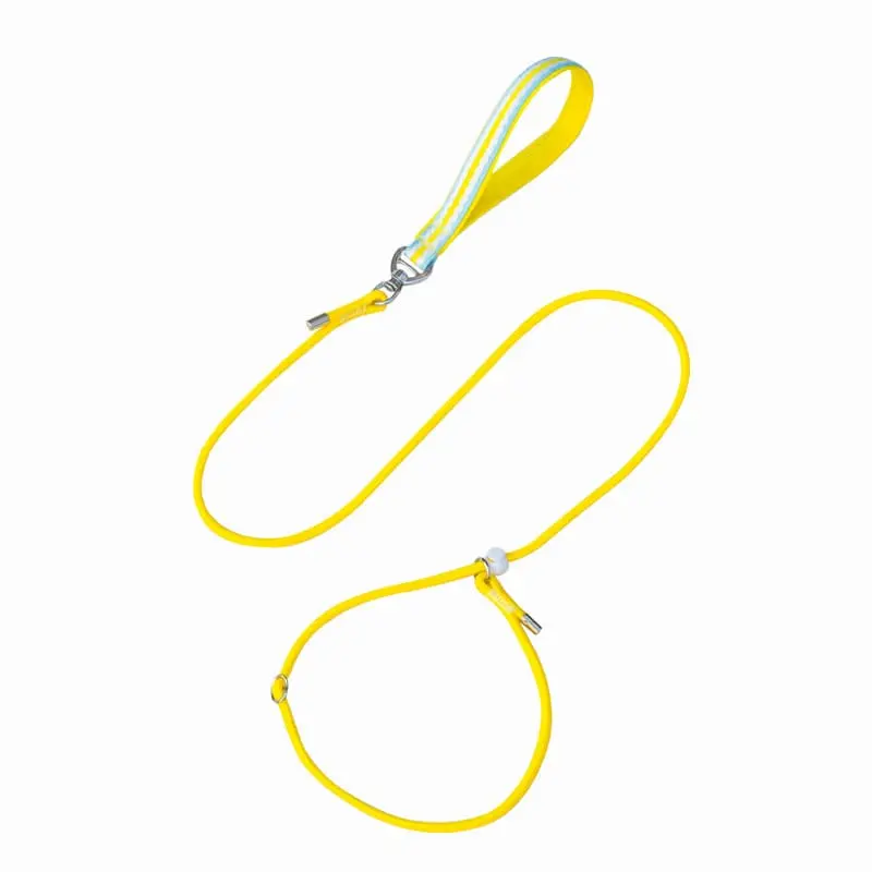 dog-leash-yellow-4830-904-1