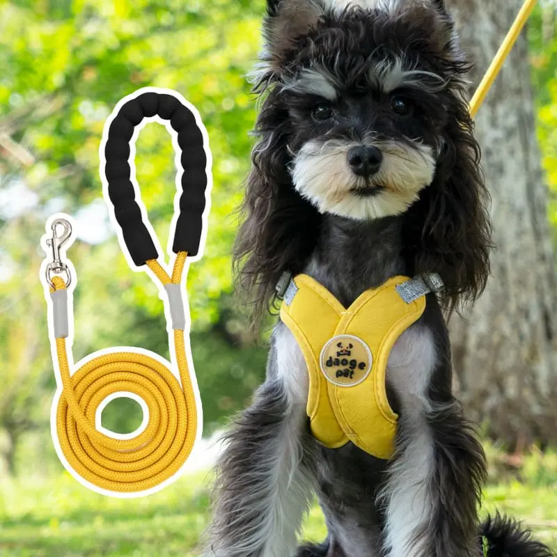 dog-leash-yellow-830-851-1