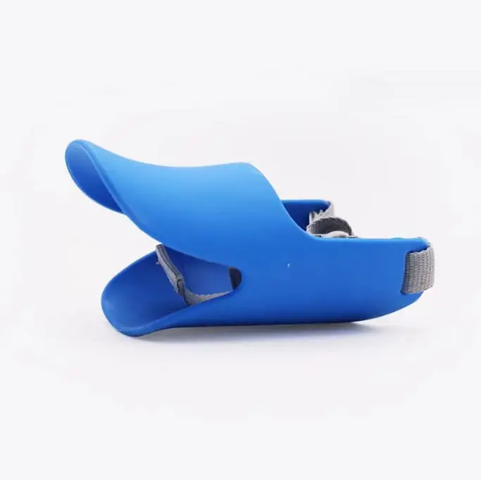 dog-muzzle-blue-830-813-1