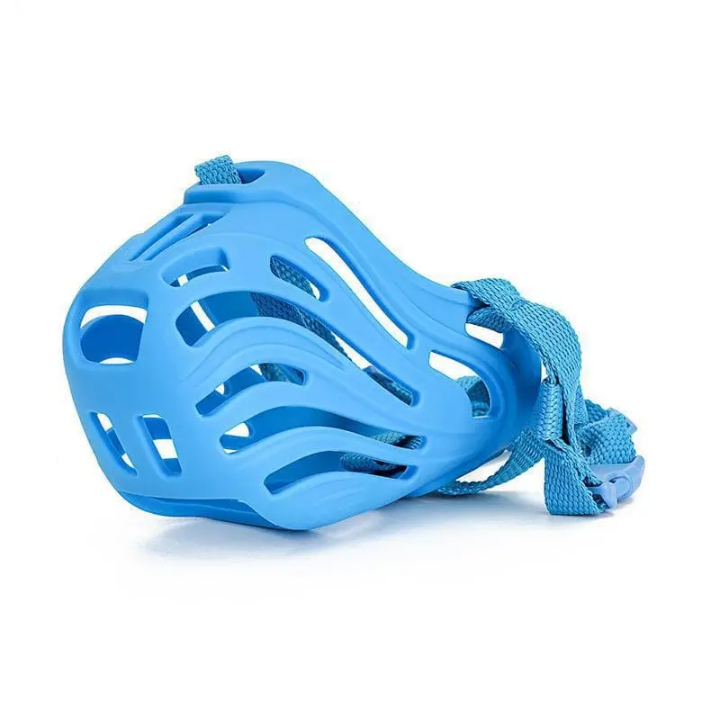 dog-muzzle-blue-830-828-1