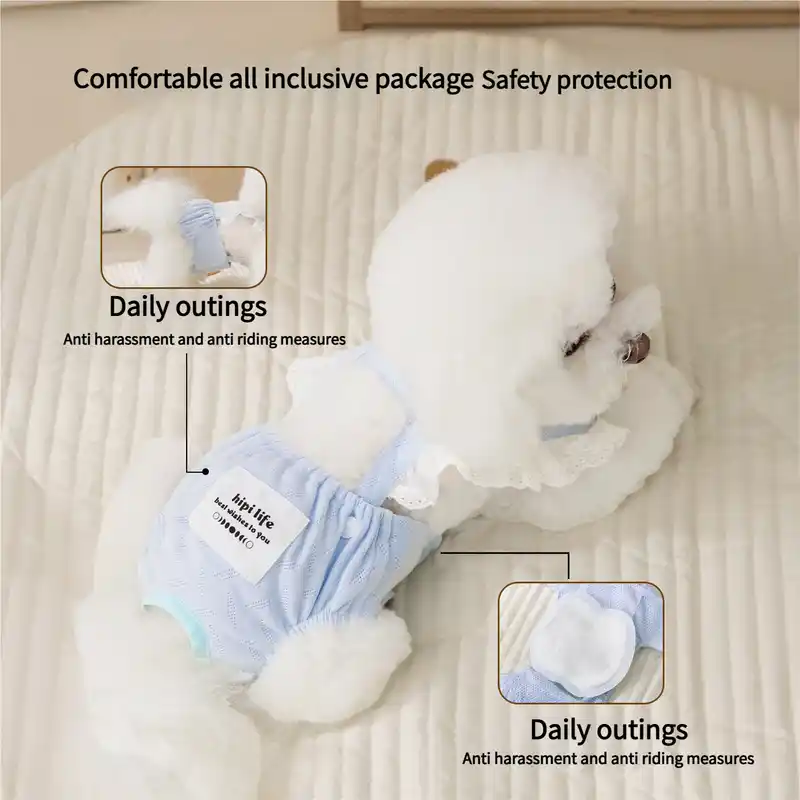 dog-pants-915-1135-2