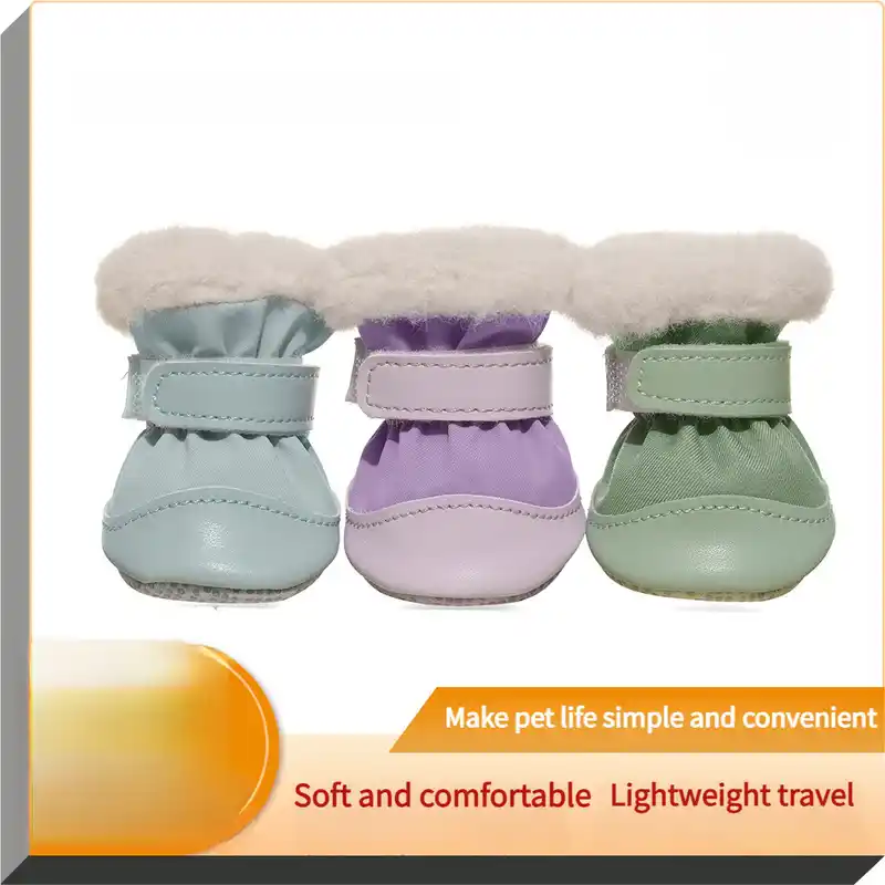 dog-shoes-915-1100-1