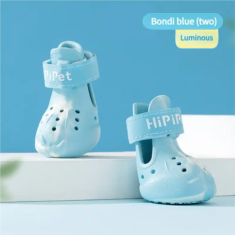dog-shoes-blue-915-1000-1
