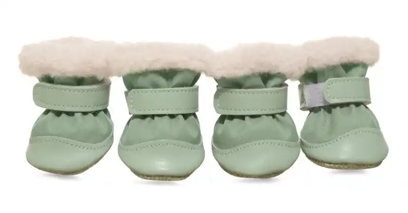 dog-shoes-green-915-1100-1