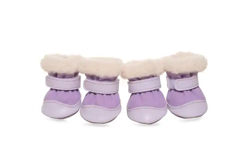 dog-shoes-purple-915-1100-1