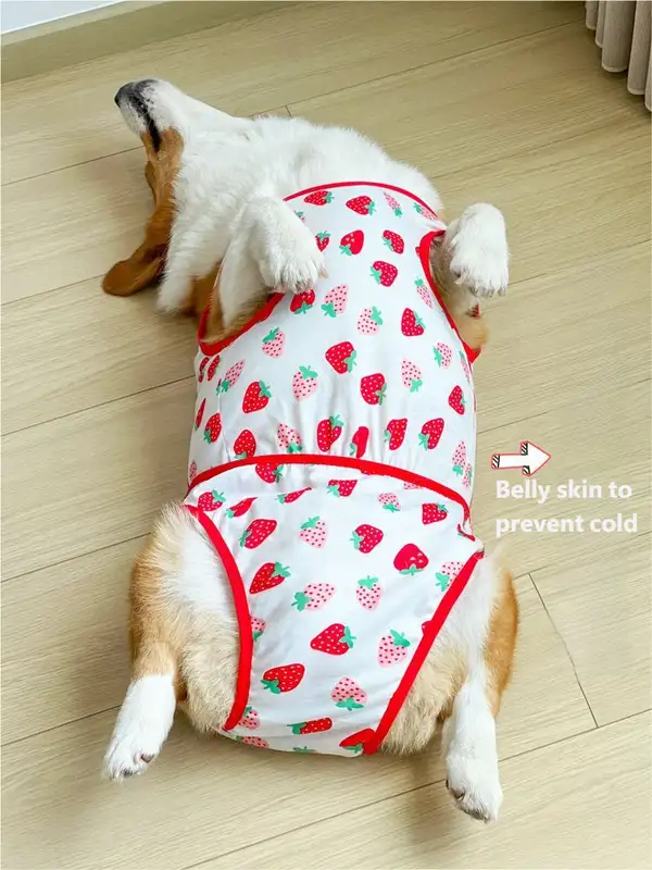 dog-diaper-1011-1100-1