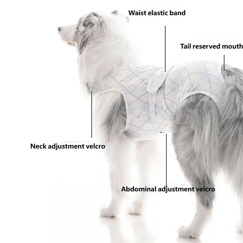 dog-diaper-1011-1507-1