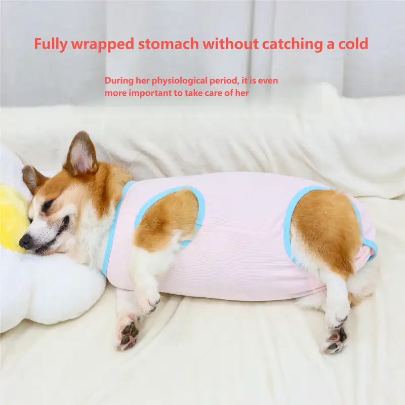 dog-diaper-1011-1605-2