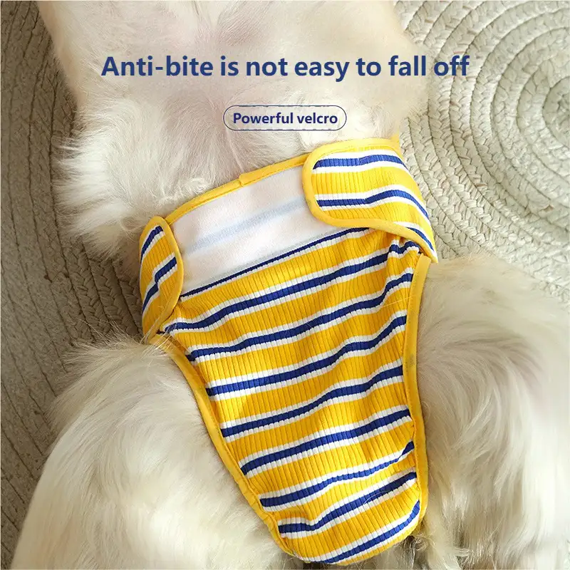 dog-diaper-1011-952-2