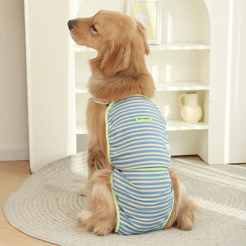 dog-diaper-blue-1011-952-1