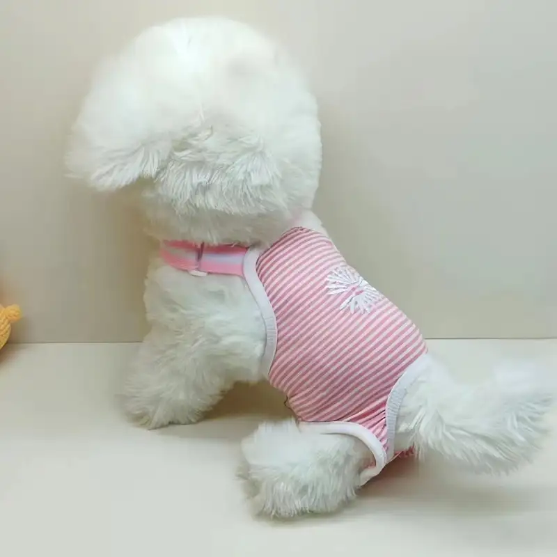 dog-diaper-pink-1011-1040-1
