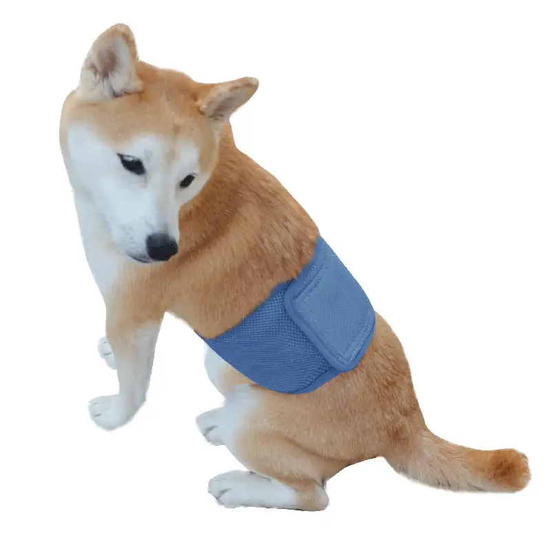 dog-menstrual-pants-blue-1011-919-1