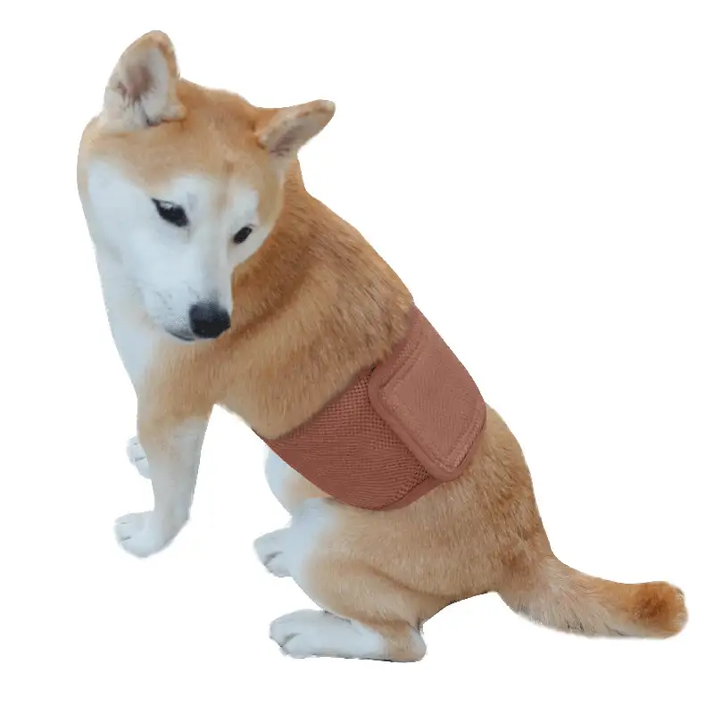 dog-menstrual-pants-brown-1011-919-1