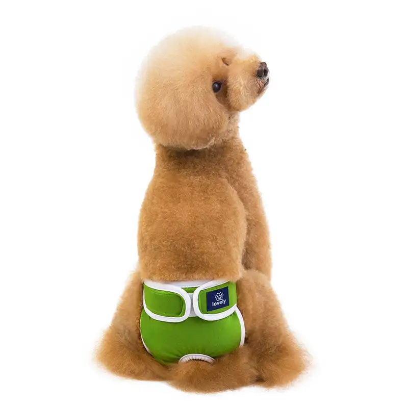 dog-menstrual-pants-green-1011-852-1