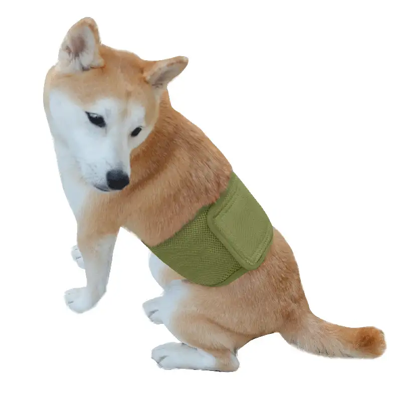 dog-menstrual-pants-green-1011-919-1