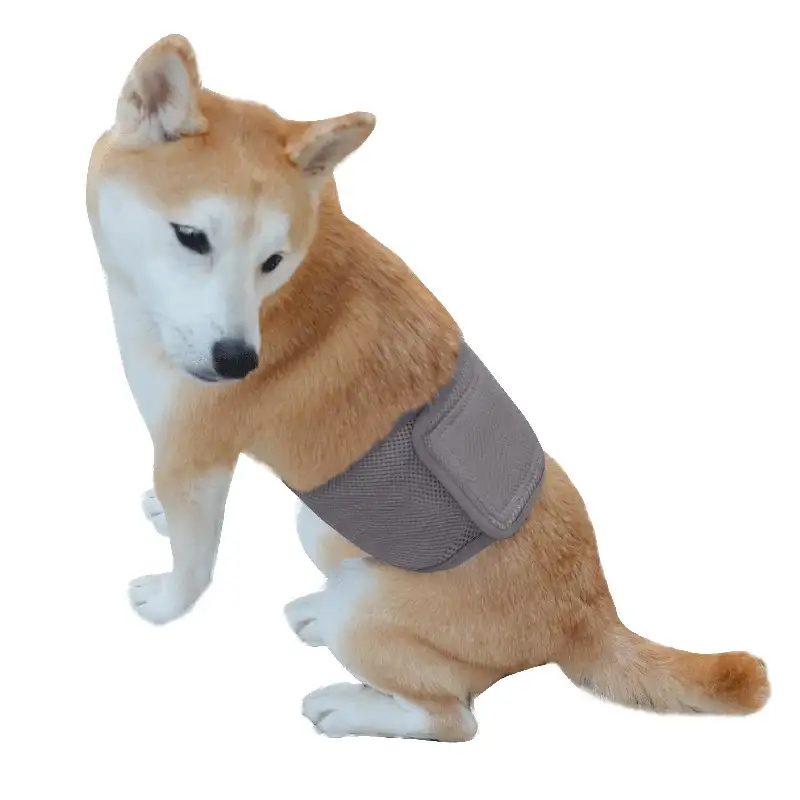 dog-menstrual-pants-grey-1011-919-1