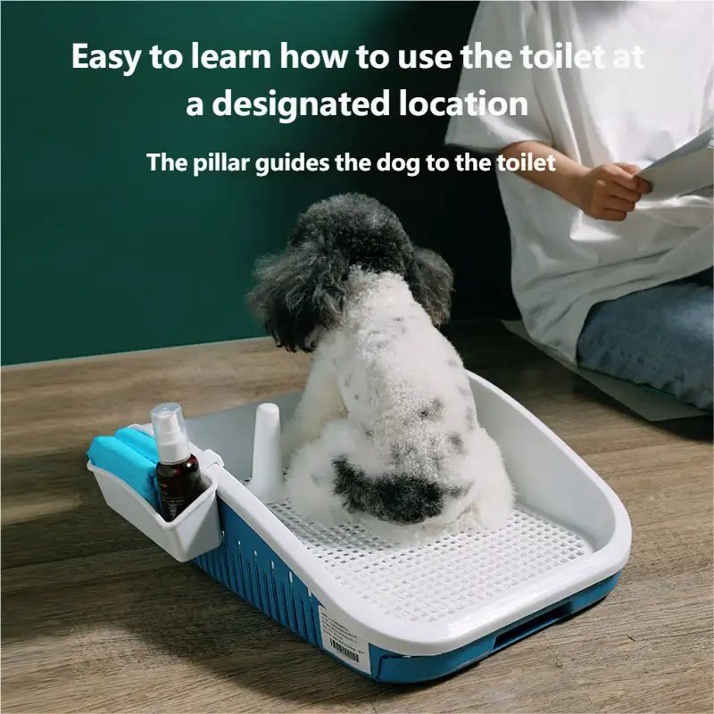 dog-toilet-1014-1138-1