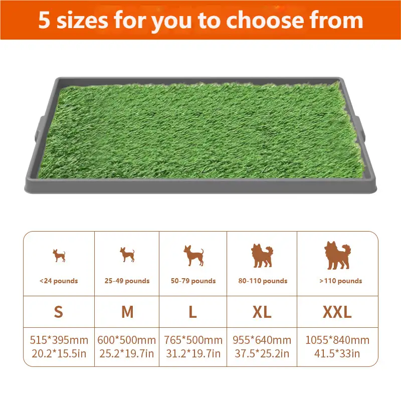 dog-toilet-1014-1454-1