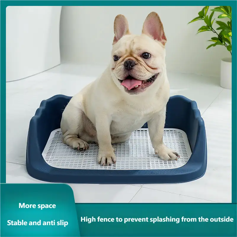 dog-toilet-1014-1537-2