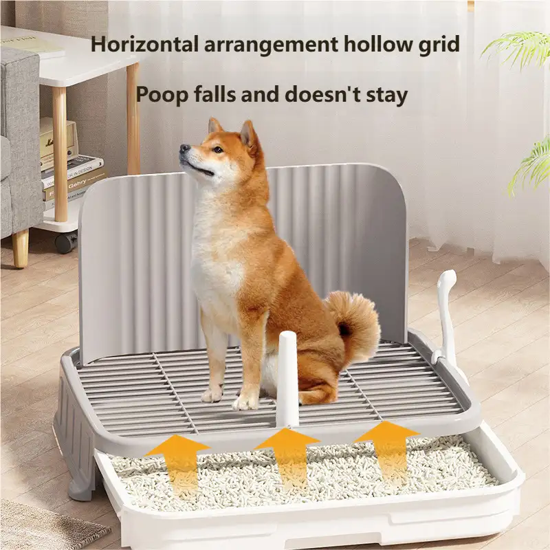 dog-toilet-1014-1626-1