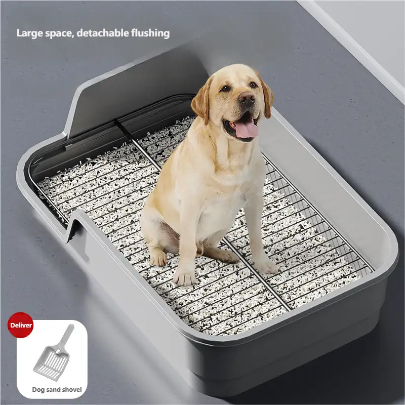 dog-toilet-1015-1030-2