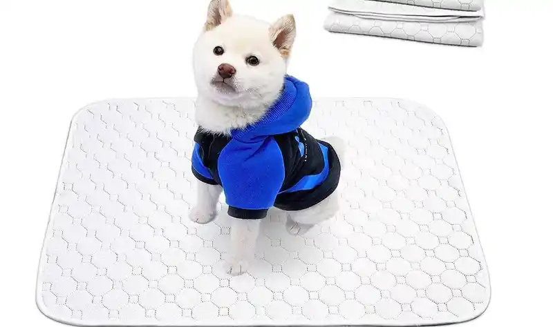 pe-urine-pad-1010-956-4