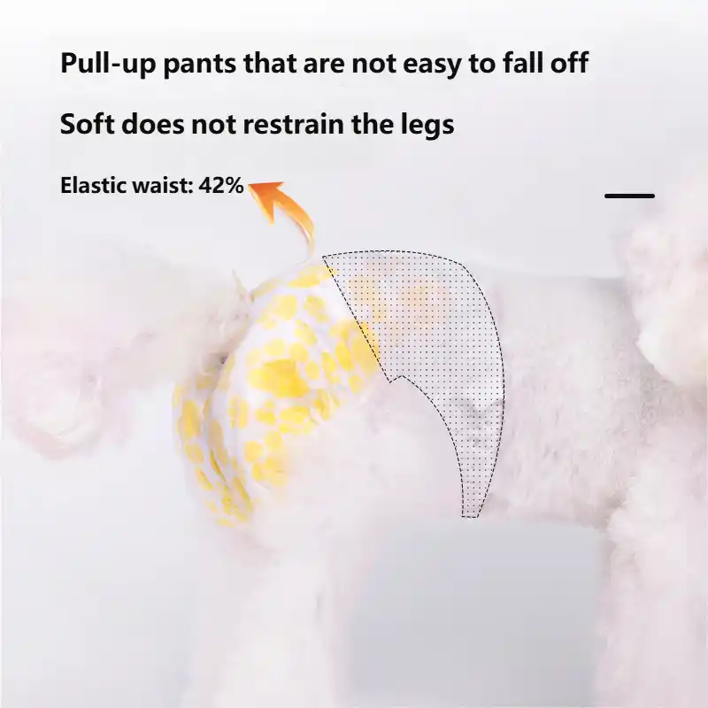 pet-diapers-1010-1602-2