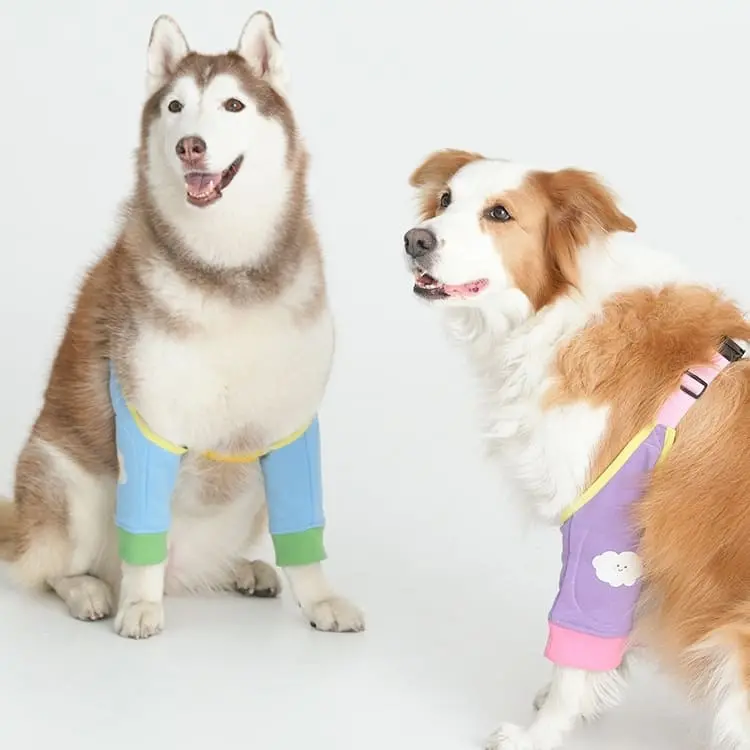 Dog-elbow-pads-828-1645-1