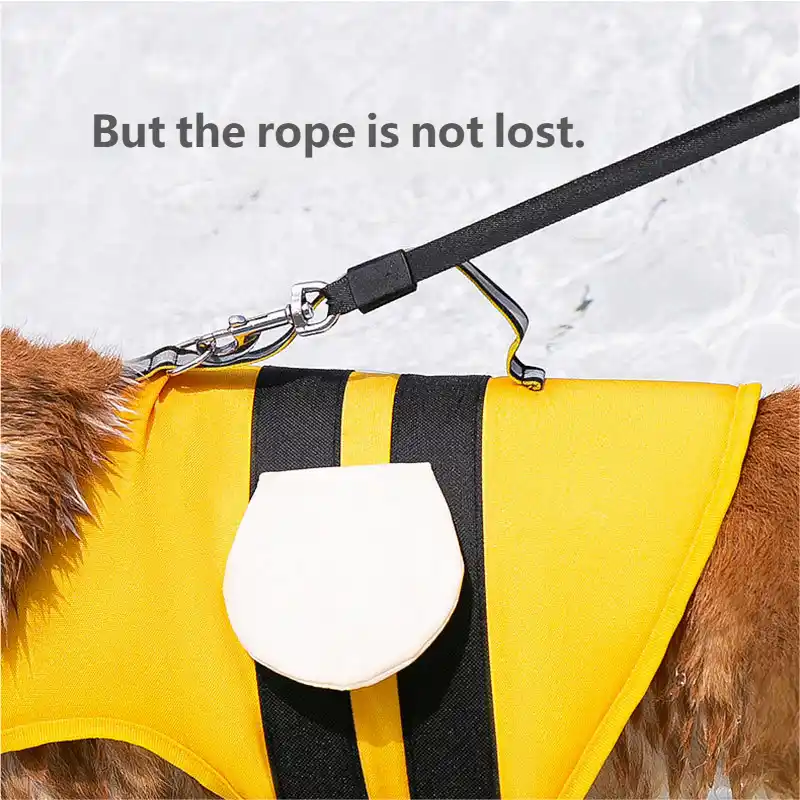 pet-cloth-924-1542-2