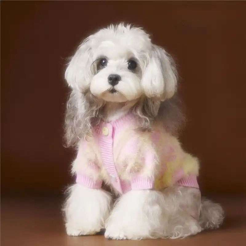 pet-cloth-925-2036-2