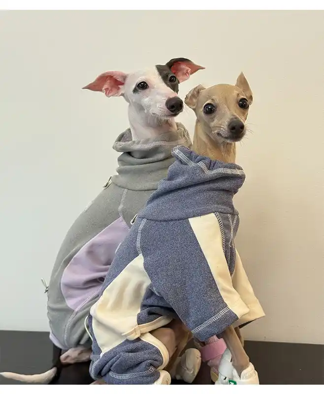 pet-cloth-925-2129-3