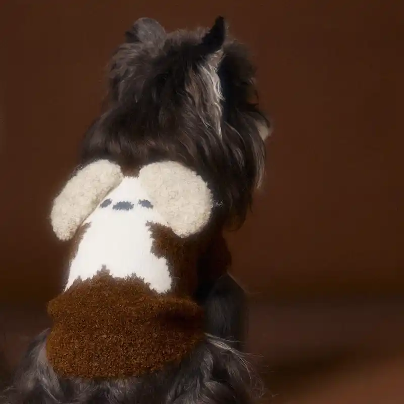 pet-cloth-coffee-925-2012-1