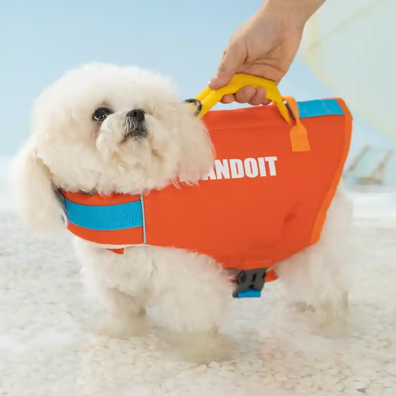pet-life-jackets-924-1551-1