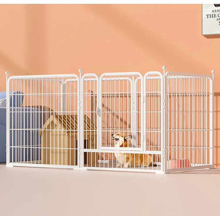 dog-fence-white-828-916-1