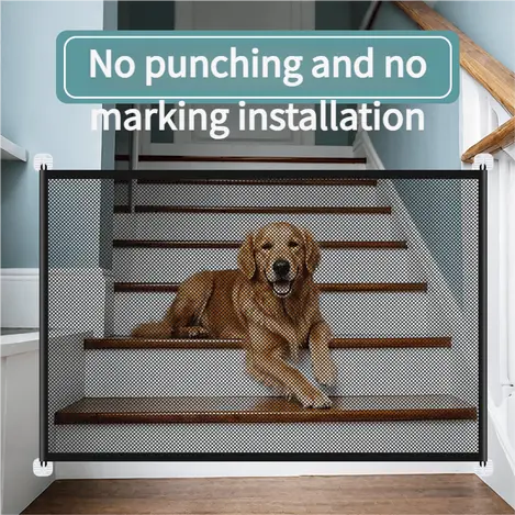 dog-isolation-net-828-822-1