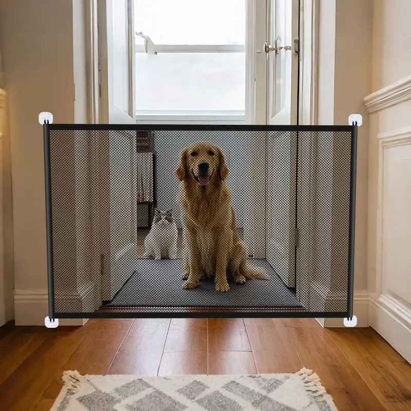 dog-isolation-net-828-822-4