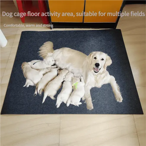 dog-mattress-829-823-1