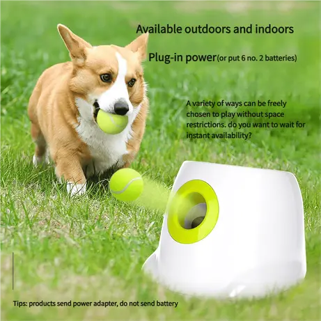 Dog-Ball-Machine-828-1704-1
