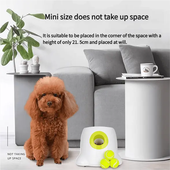 Dog-Ball-Machine-828-1704-2