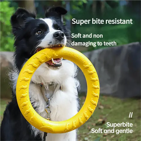Dog-Frisbee-Pull-Ring-829-1507-1