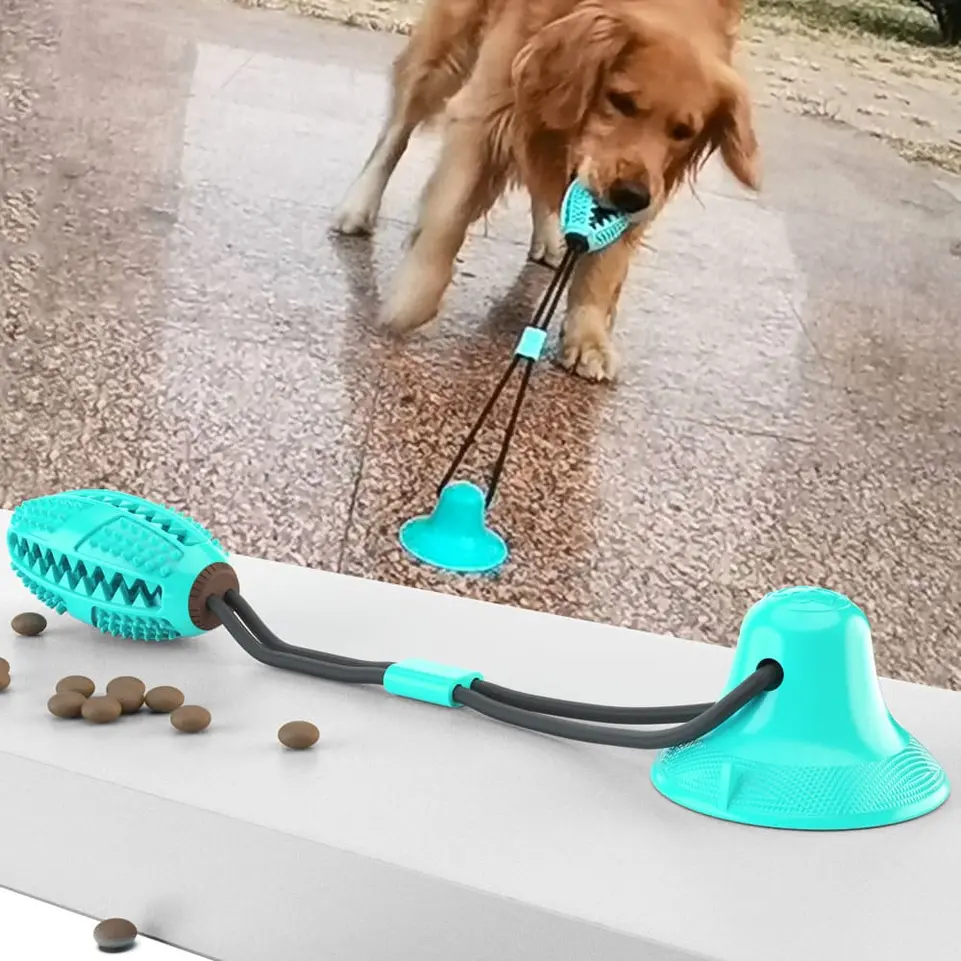 Suction-Cup-Dog-Toy-blue-829-1128-1
