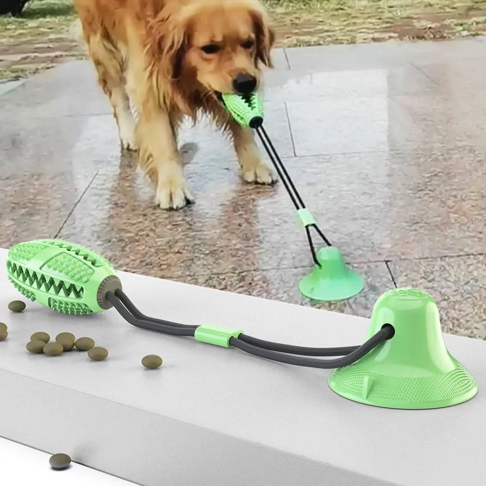 Suction-Cup-Dog-Toy-green-829-1128-1