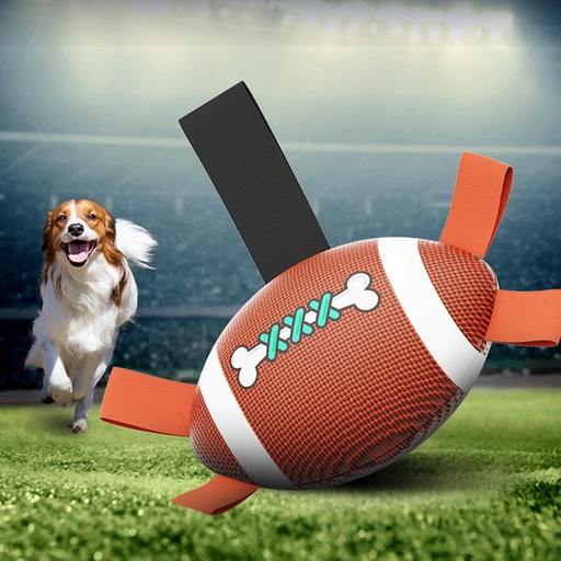 dog-football-829-1033-1