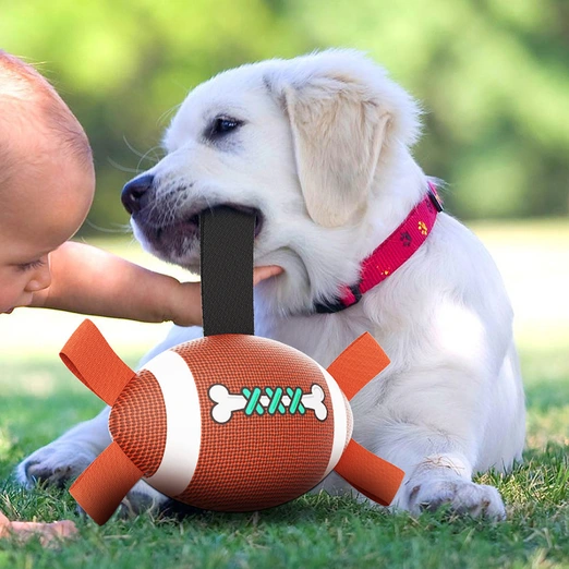 dog-football-829-1033-2