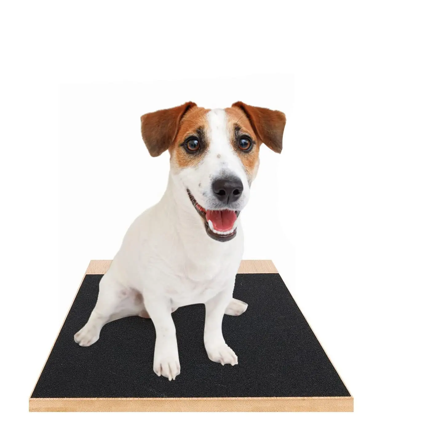 dog-scratching-post-829-1540-2