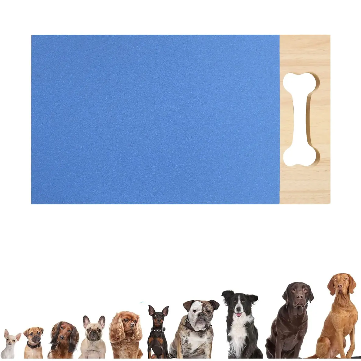dog-scratching-post-blue-829-1540-1
