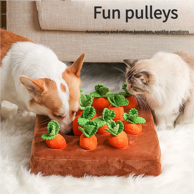 puppy-pulling-carrots-905-1040-1