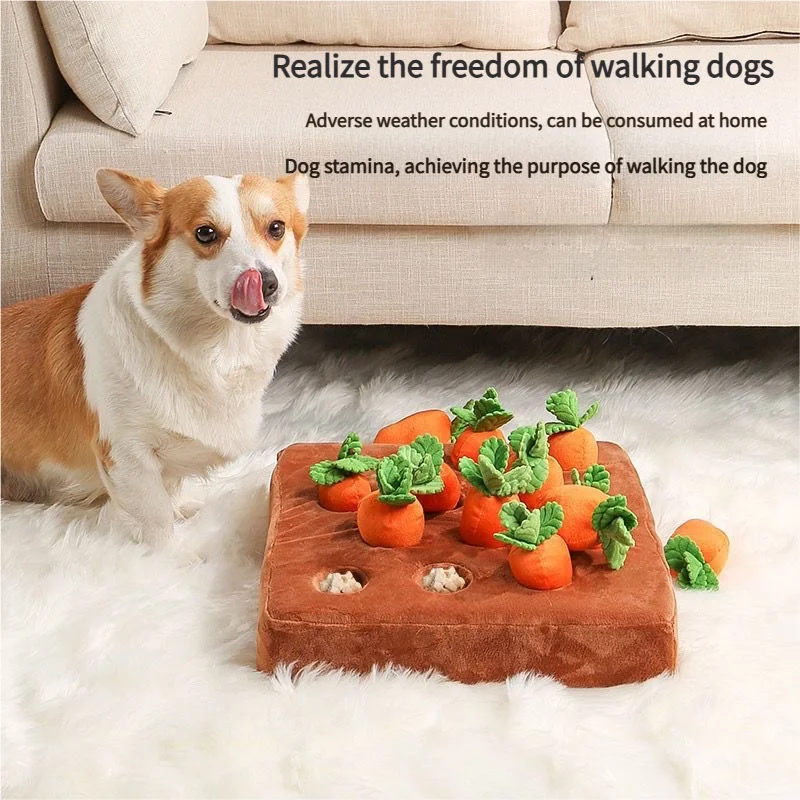 puppy-pulling-carrots-905-1040-2
